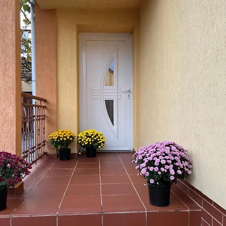 Amma House 別荘 ティミショアラ